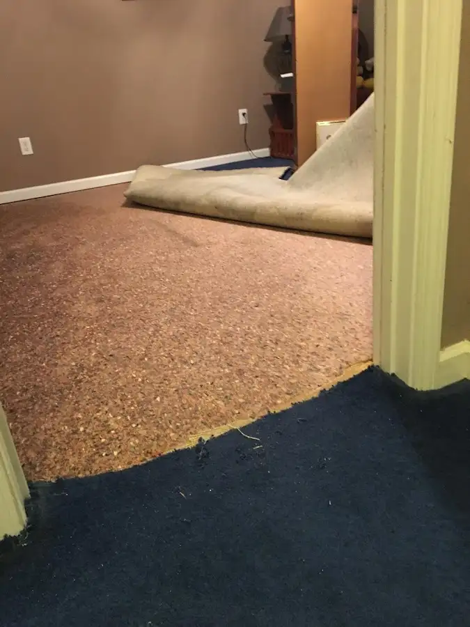 Carpet pad removal revealing water damage during Drying & Dehumidification in Sharon
